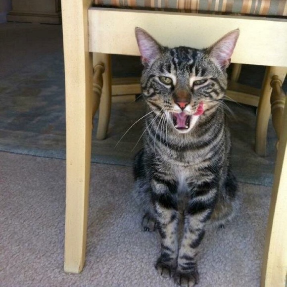 Meet your Posher, Jennifer - Picture 10 of 12